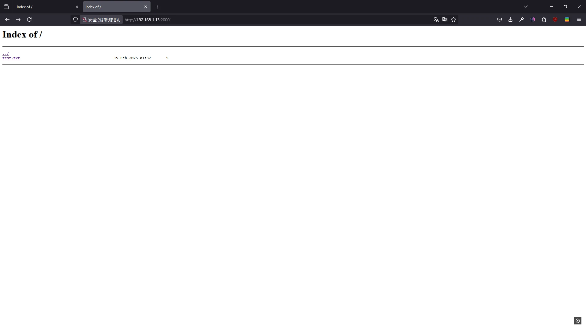06_publish-web-with-cloudflare-zero-trust-and-tunnel/nginx-directory-index-test